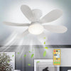 Modern LED Ceiling Fan Light