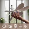 Modern LED Ceiling Fan Light