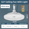 Modern Ceiling Fan Lamp