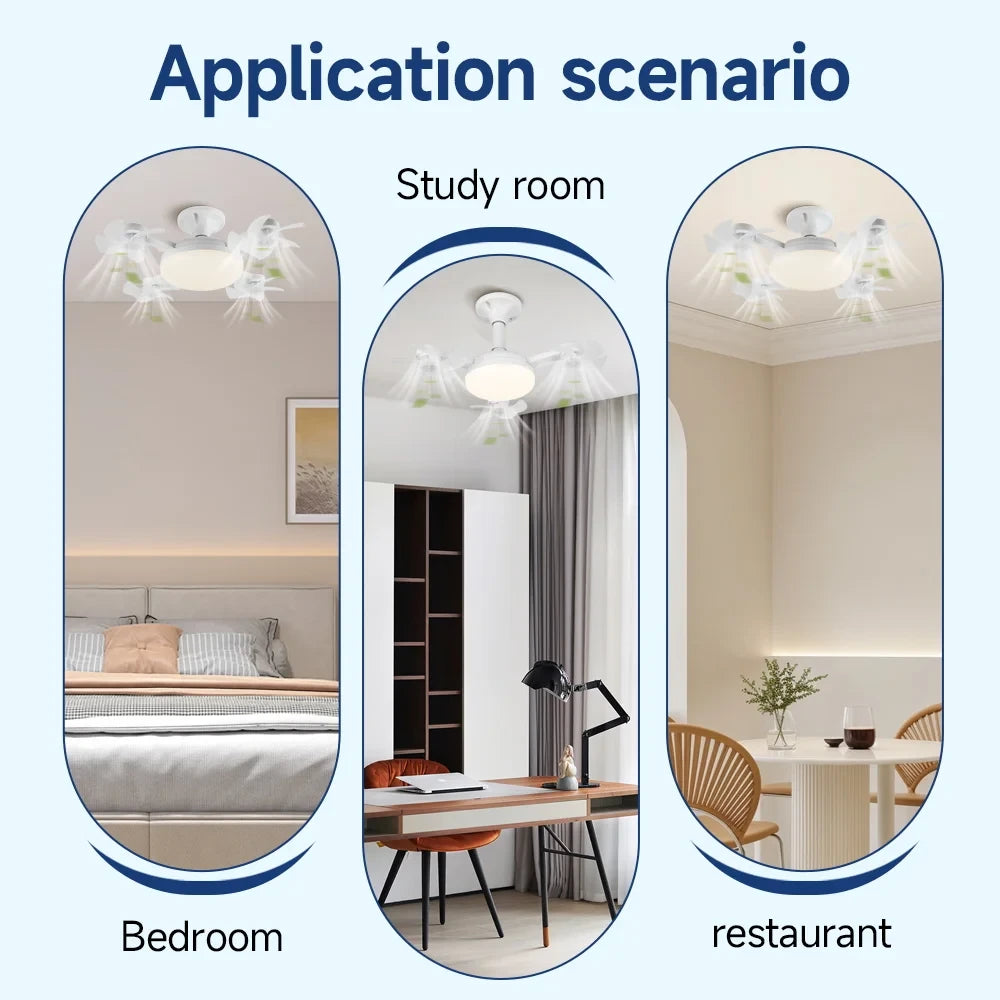 Modern Ceiling Fan Lamp