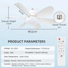 Modern Ceiling Fan Lamp