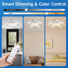 Modern Ceiling Fan Lamp