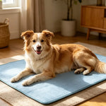 Breathable Ice Cool Dog Cooling Mat