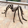 Giant Plush Halloween Spider Prop